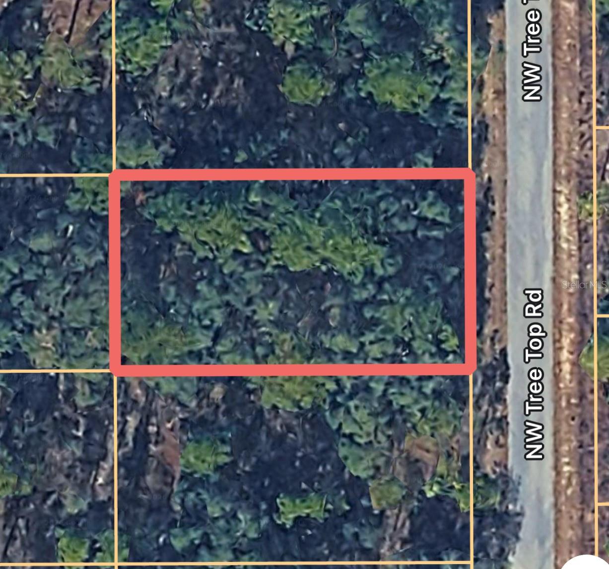 Land in DUNNELLON
