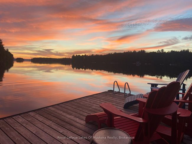 1176 Mccomb Point Dr, House other with 3 bedrooms, 3 bathrooms and 6 parking in Dorset ON | Image 46