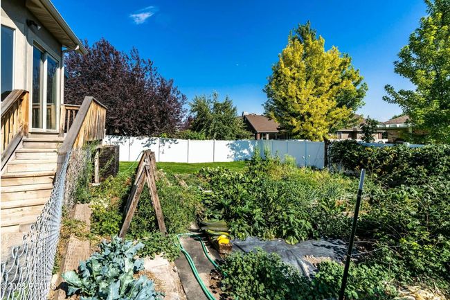 Backyard in the summer time | Image 21