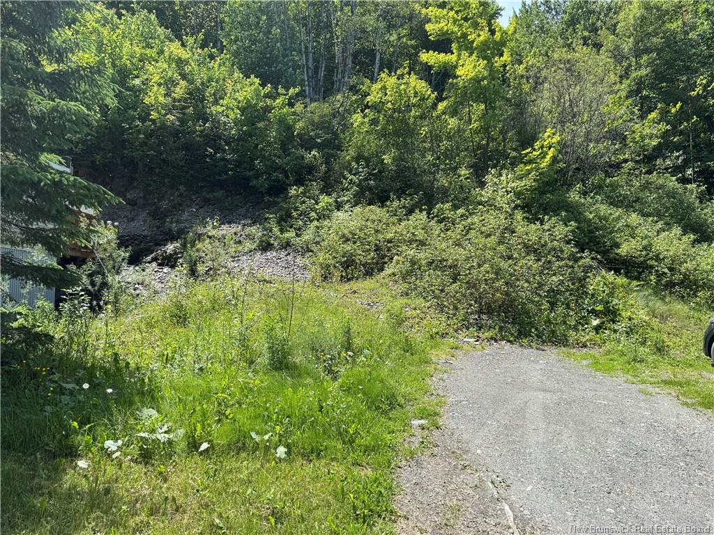 Land in Edmundston 5