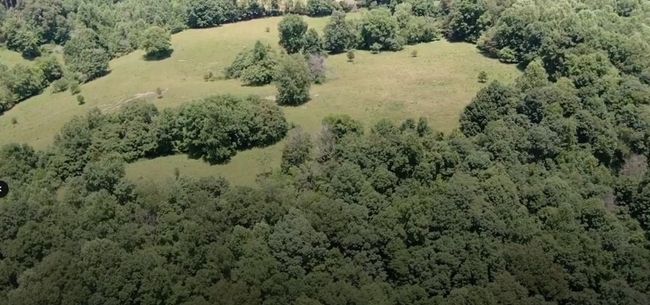 33.64 ac Davis Rd, Home with 0 bedrooms, 0 bathrooms and null parking in Livingston TN | Image 12