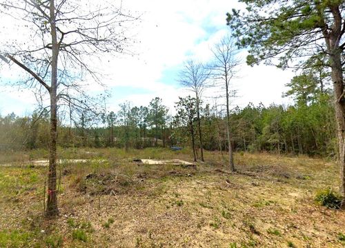 0 Keisha St, Jasper, TX, 75951 | Card Image