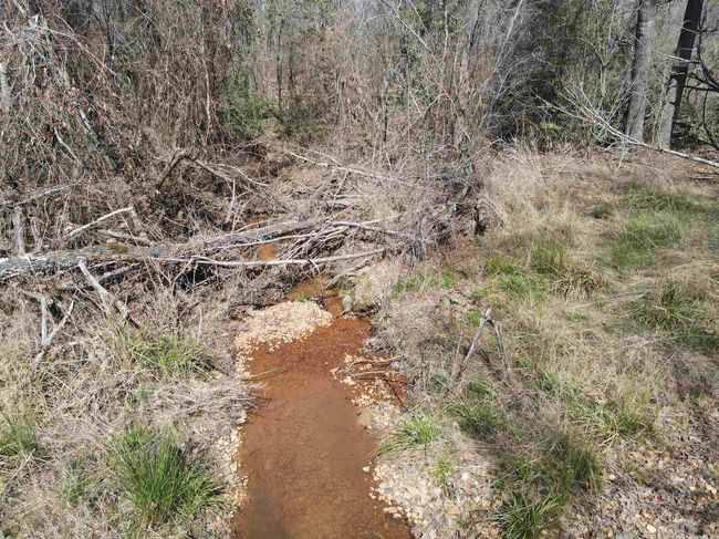 00 Nevada County 175 Road, Home with 0 bedrooms, 0 bathrooms and null parking in Rosston AR | Image 28