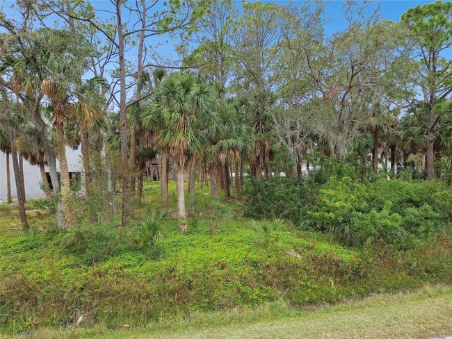 00 Phoenix Ave, Home with 0 bedrooms, 0 bathrooms and null parking in OLDSMAR FL | Image 16