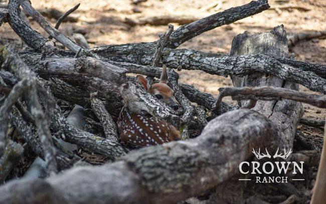 Exterior view | Image 19