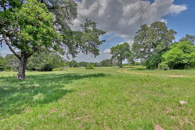 View of yard | Image 10