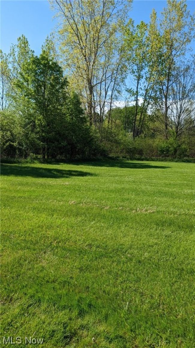 Back Yard | Image 27
