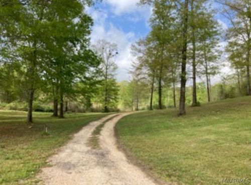 244 County Road 993, Valley Grande, AL, 36703-9452 | Card Image