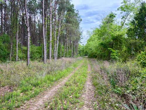 002 Dragstrip Ln, Dardanelle, AR, 72834 | Card Image