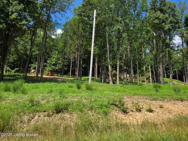 5 Cave Creek Rd, Home with 0 bedrooms, 0 bathrooms and null parking in Falls Of Rough KY | Image 7