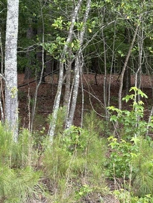 Lot A Cemetery Rd, Williston, SC, 29853 | Card Image
