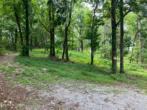 8 Grandview Ln, New Tazewell, TN, 37825 | Card Image
