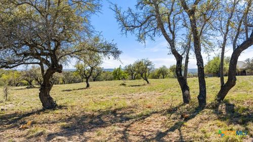 Lot 19 Stone Ridge Mountain Dr, Round Mountain, TX, 78663 | Card Image