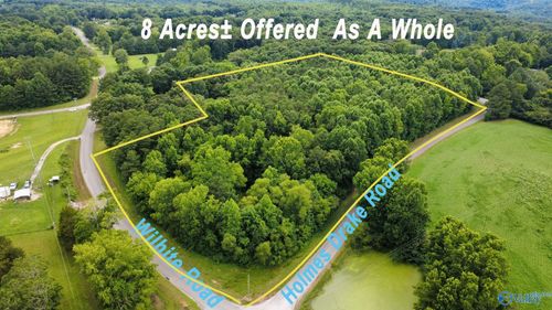 8 +/- Acres Holmes Drake Road, Falkville, AL, 35622 | Card Image