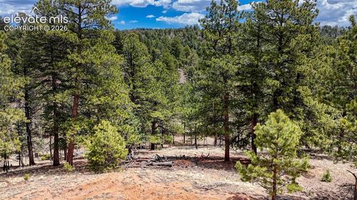 16 View Circle, Florissant, CO, 80816 | Card Image