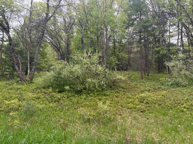 4465 E Old M 63, House other with 3 bedrooms, 1 bathrooms and null parking in Luther MI | Image 34