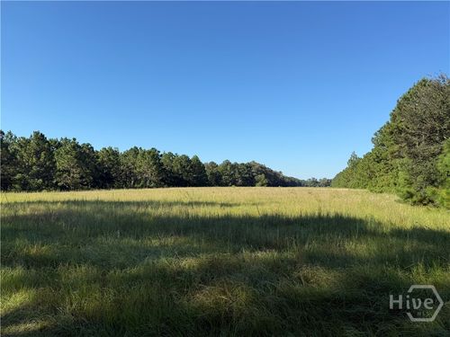 tract-4-0 Sunbury Road, Claxton, GA, 30417 | Card Image