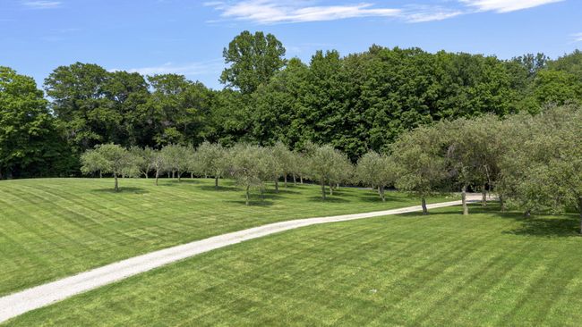 Fruit Trees | Image 76
