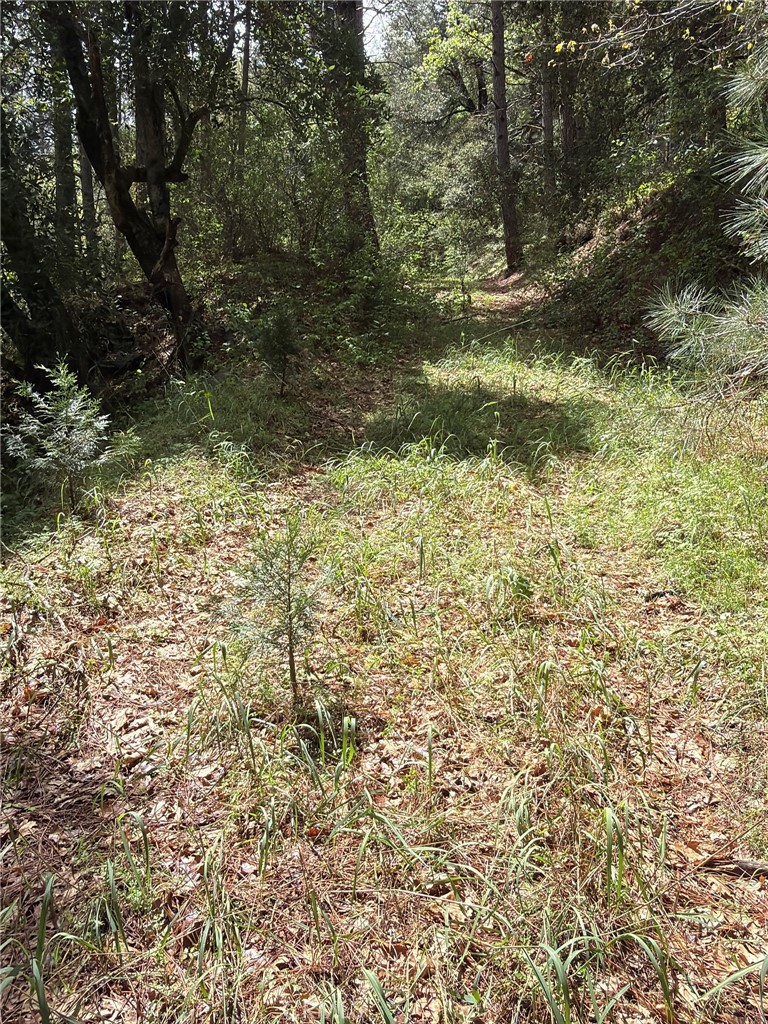 Land in Coulterville 5