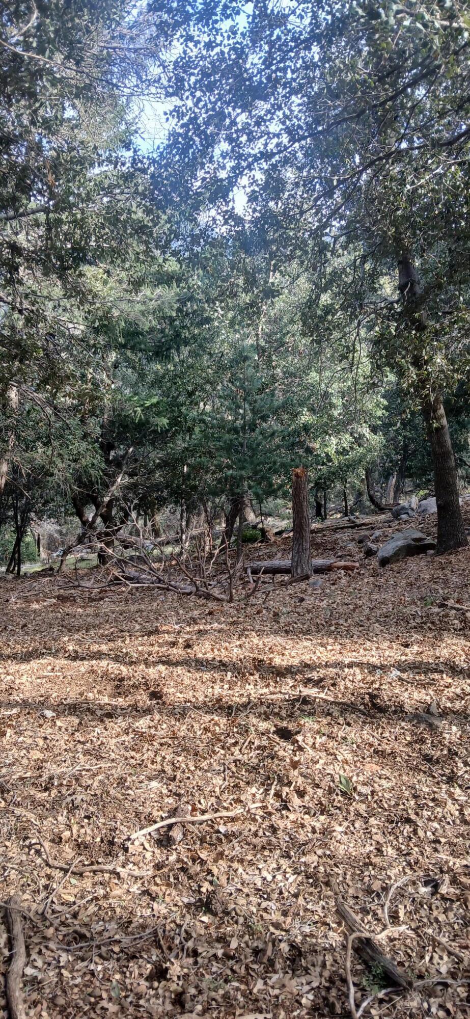 Land in Crestline 5