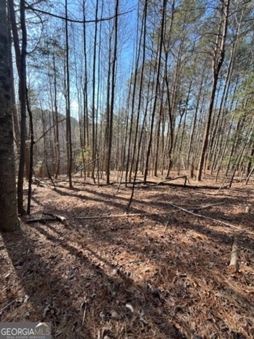 LOT 36R Lake View Ln, Ellijay, GA, 30536 | Card Image