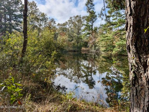 Nhn Inside Road, Picayune, MS, 39466 | Card Image