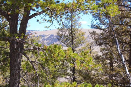 2882 Middle Fork Vis, Fairplay, CO, 80440 | Card Image