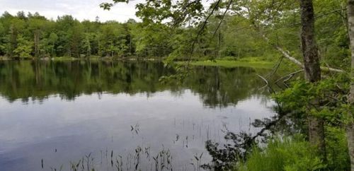 101 Lake View Dr, Conquerall Mills, NS, B4V | Card Image