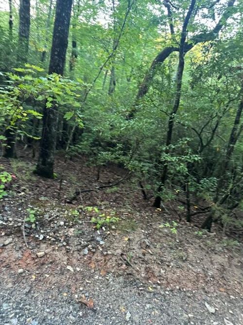 LOTS 3&4 Amicalola Woods Road, Dawsonville, GA, 30534 | Card Image