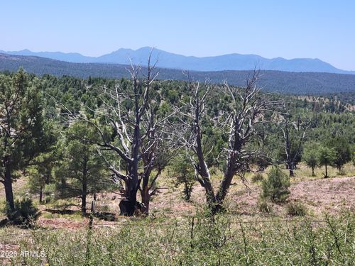 41-and-42-41 & 42 E Antelope Trl, Payson, AZ, 85541 | Card Image