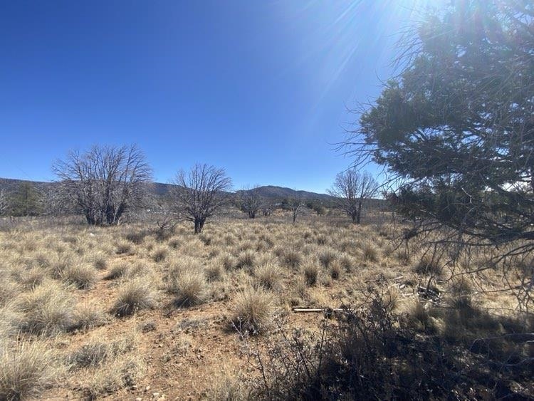 Land in Timberon 4