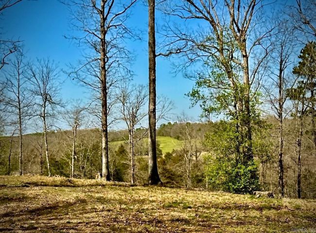 165 Mirage Ln, House other with 1 bedrooms, 1 bathrooms and null parking in Hatfield AR | Image 15