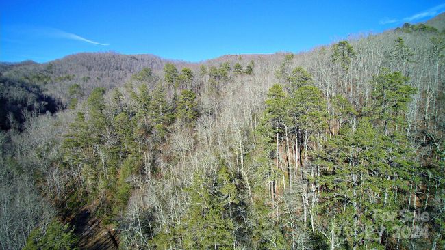 000 Stone Pillow Rd, Home with 0 bedrooms, 0 bathrooms and null parking in Tuckasegee NC | Image 5