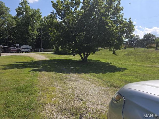 View of grassy yard | Image 5