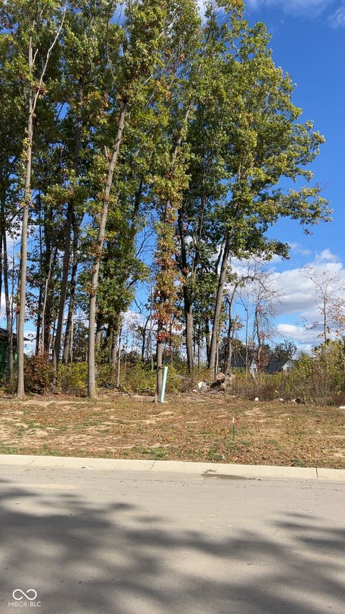 3725 Holliday Farms Blvd, Zionsville, IN, 46077-0350 | Card Image