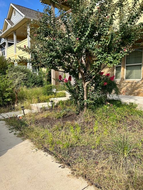 216-4624 Senda Ln, Austin, TX, 78725-2900 | Card Image