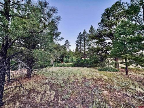 3898 N Pagosa Blvd, Pagosa Springs, CO, 81147 | Card Image