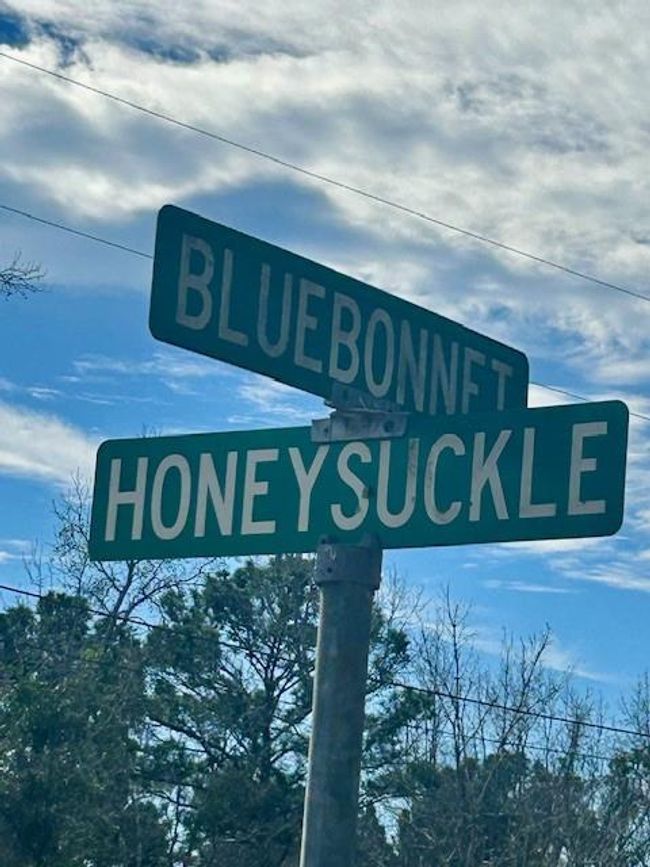 0 Honeysuckle, Home with 0 bedrooms, 0 bathrooms and null parking in Livingston TX | Image 18