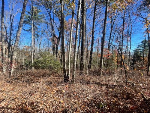 149 High Mountain Dr, Cashiers, NC, 28717 | Card Image