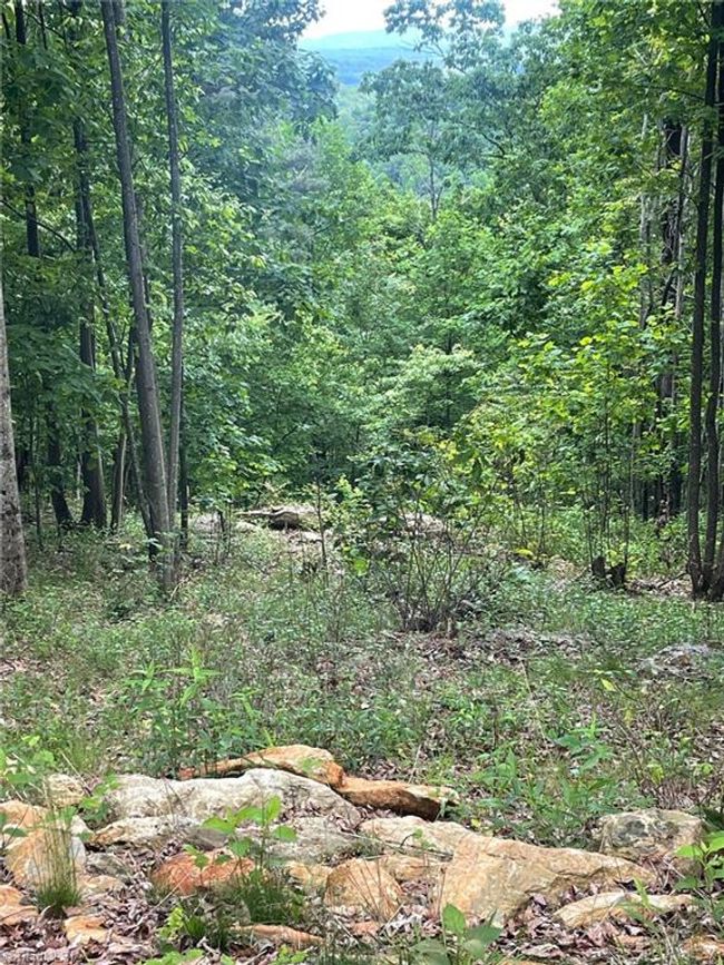 15 Dogwood Rd, Home with 0 bedrooms, 0 bathrooms and null parking in Moravian Falls NC | Image 26