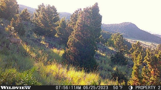 74 Pony Express Trl, Home with 0 bedrooms, 0 bathrooms and null parking in Ramsay MT | Image 10