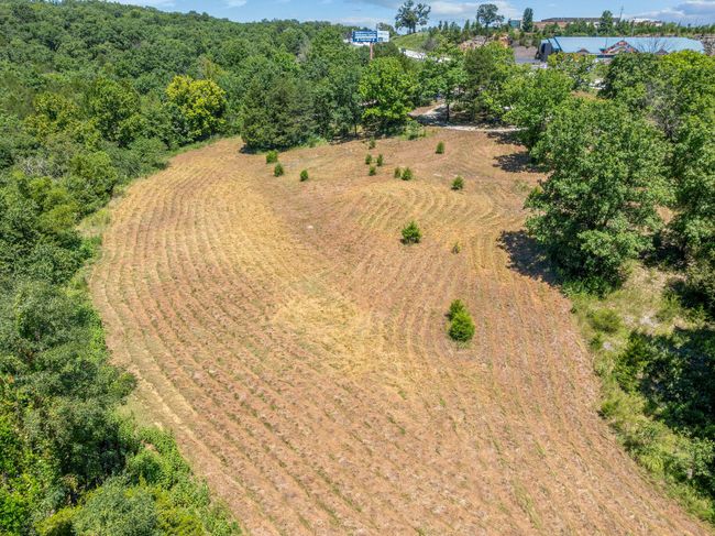 Cleared Area | Image 10