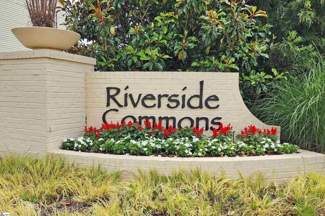 41 Irvington Dr, Townhouse with 3 bedrooms, 3 bathrooms and 2 parking in Greer SC | Image 42