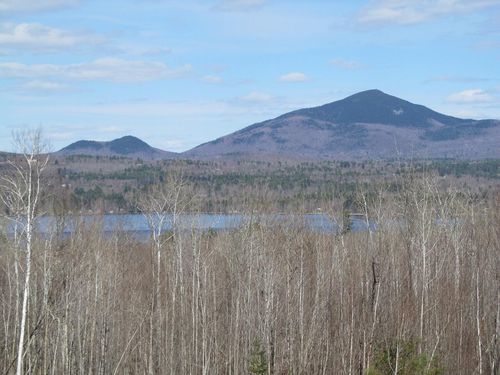 Lot 12 Lake View Road, Weld, ME, 04285 | Card Image