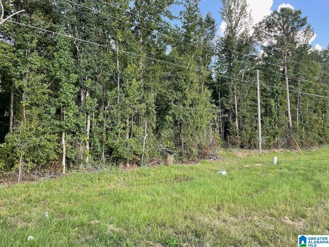 6358 State Highway 129, House other with 3 bedrooms, 1 bathrooms and null parking in Winfield AL | Image 15