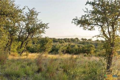 68 E Leaning Madrone Dr, Johnson City, TX, 78636 | Card Image