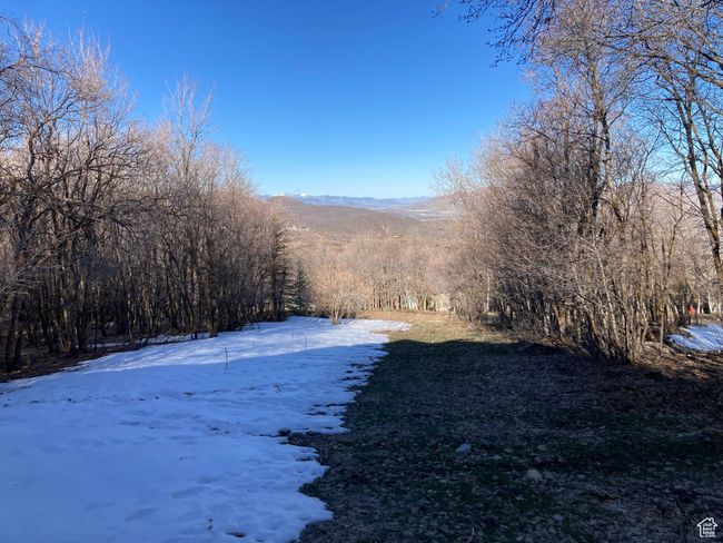 Yard covered in snow with a forest view and a mountain view | Image 9