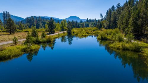 1200, 1101, 1000 Golden Feather Ranch Road, Sloat, CA, 96103-000 | Card Image
