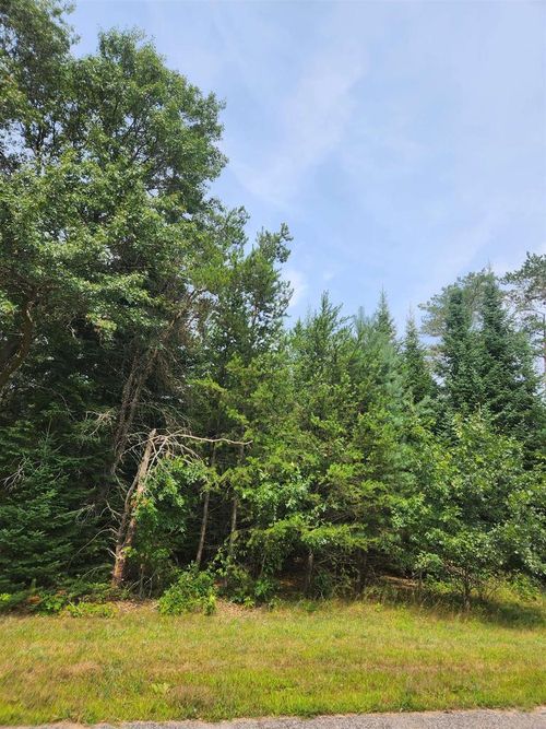 Parcel #0703692 Dewberry Lane, GRAND RAPIDS, WI, 54494 | Card Image