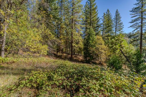 27190 Hill Rd, Pioneer, CA, 95666-9317 | Card Image